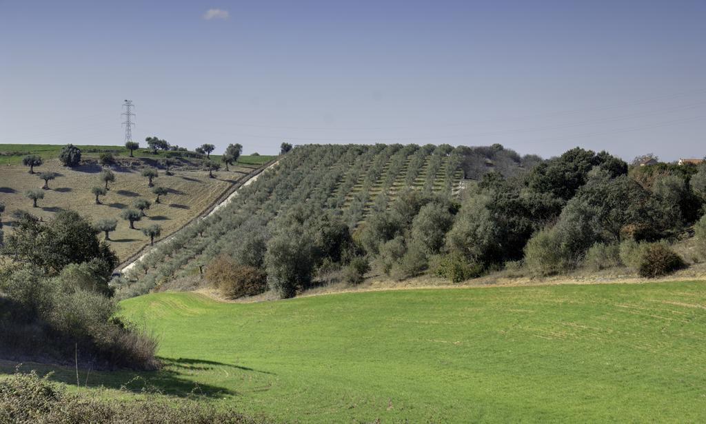 Вилла Quinta Da Mata Sobral  Номер фото